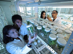 在线永久免费轰炸云呼